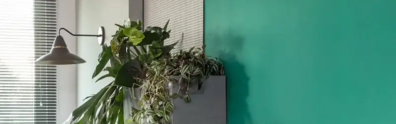 Imagem da capa do perfil