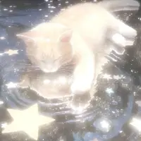 𝑇𝚒𝚗𝚘𝚌𝚊