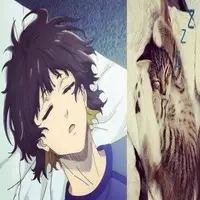 ★彡[ʙᴀᴄʜɪʀᴀ]彡★