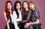 Quem você seria do grupo Blackpink?