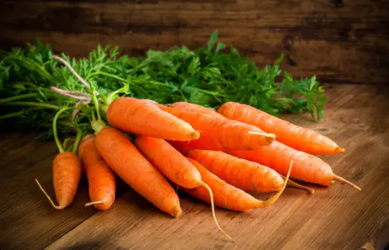 A cenoura é rica em qual vitamina?