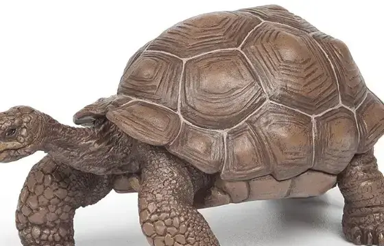 17. QUAL O NOME DESSE ANIMAL EN INGLÊS?