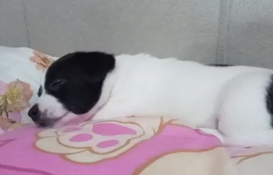 Max!!! 💖