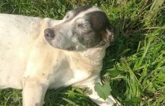 Chico!!! 💘