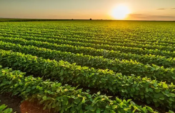 O Centro-Oeste é o maior produtor de soja do Brasil. Se uma fazenda no MT produziu 60 sacas e cada saca vale R$150, quanto ela faturou?