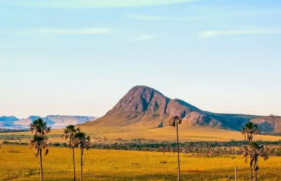 Por que o Cerrado é chamado de "caixa d'água do Brasil"?