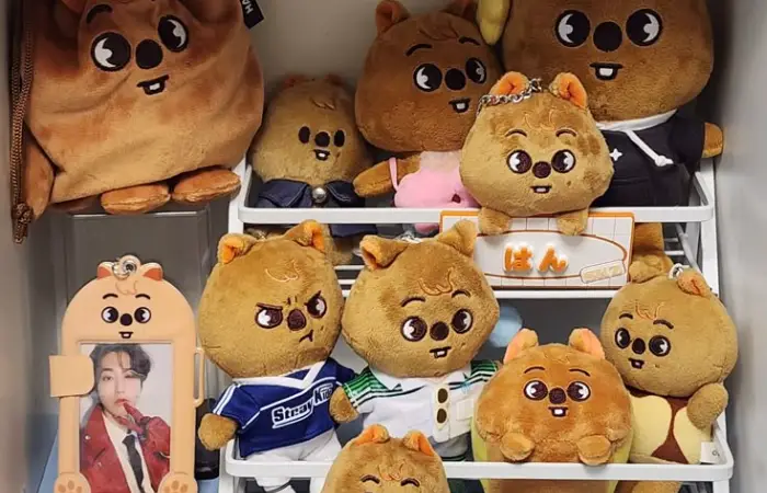 Adivinhe o grupo Kpop pelas pelúcias