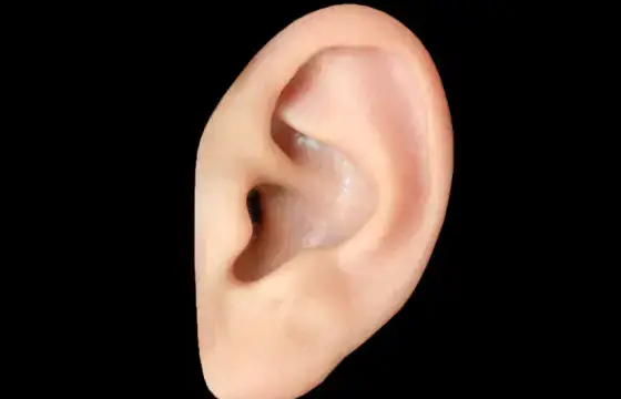 7. COMO ESCREVEMOS ORELHA EM INGLÊS?