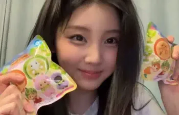 Quanto você sabe sobre a (*wonhee*)
