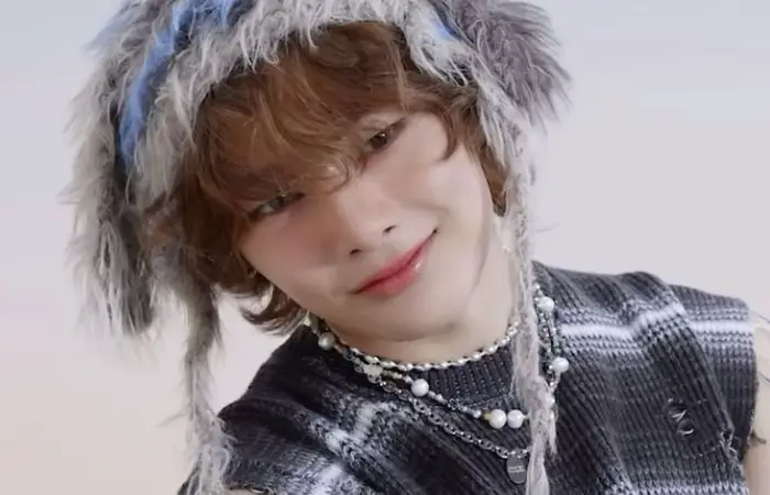 Você conhece o I.N do skz?