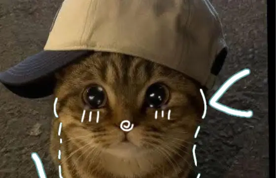 Você é o gato coquette!!!
