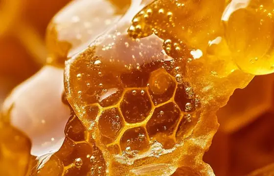 Lembra da Abelha? Ela prepara um mel especial para você. Estava bem docinho e gostoso! Todos estavam se divertindo, qual sua reação ao experimentar?