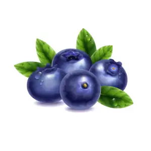 Blueberry