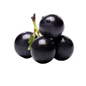 Jabuticaba
