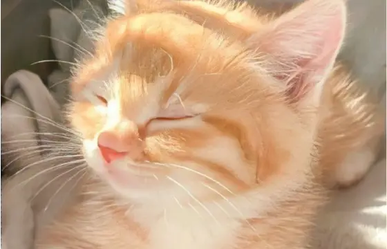 Qual é o seu hobbie???