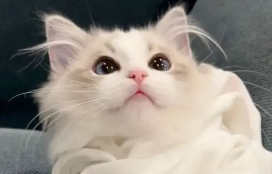 Qual personalidade mais combina com vc???