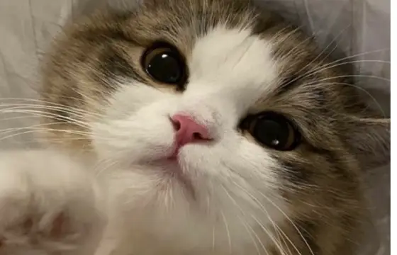 Qual é o seu tipo de cabelo???