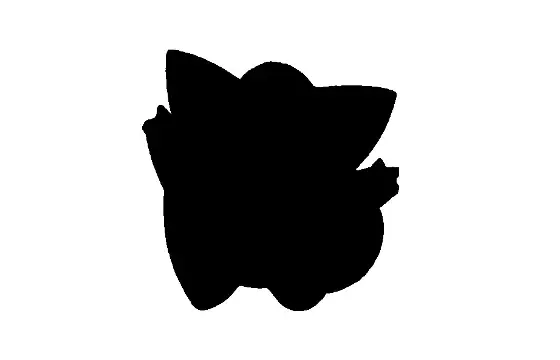 Quem é este pokémon?