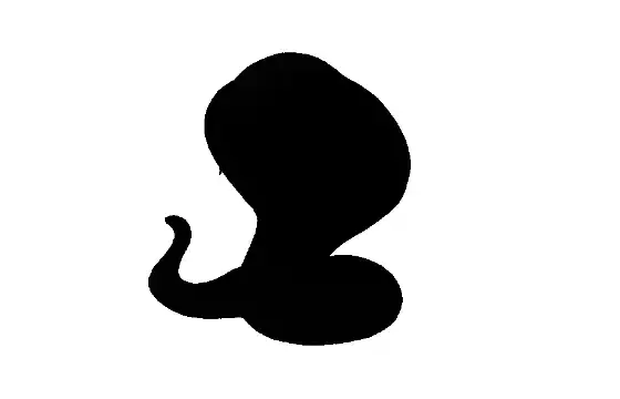 Quem é este pokémon?