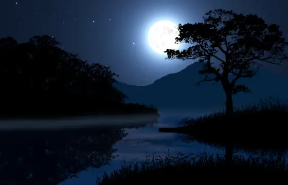 Noite Calma
