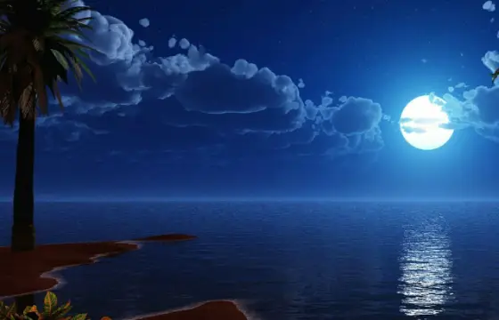 Noite Calma