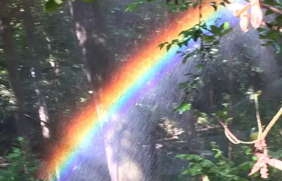 Escolha uma das cores :