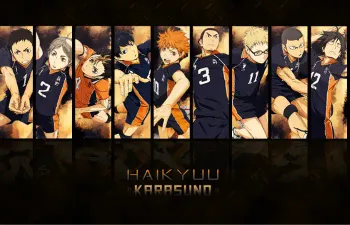 Você sabe de tudo de Haikyu?