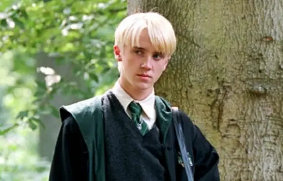 Quem se casou com Draco Malfoy?