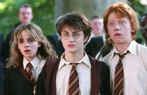 Você gosta mesmo de Harry Potter?