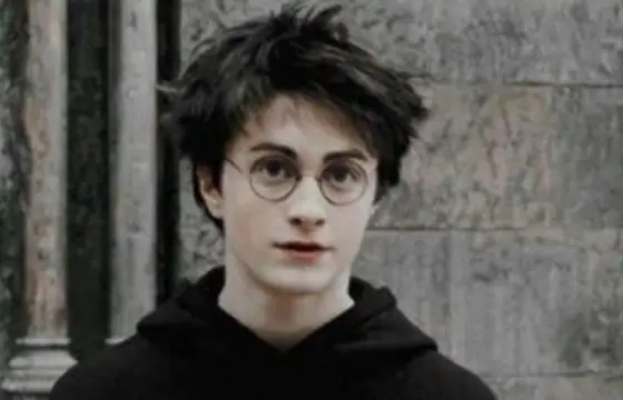 Em quem o Harry Potter usa o sectusempra?