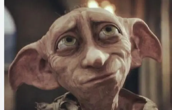 Qual foi a última frase de Dobby?