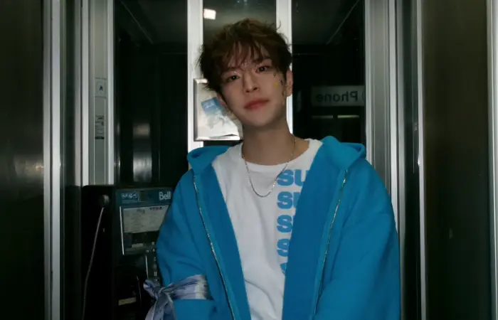 Você conhece o seungmin do skz?