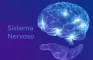 Quiz do Sistema nervoso, trabalho de ciências