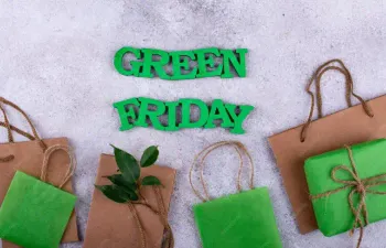 GREEN FRIDAY - QUE TIPO DE CONSUMIDOR VOCÊ É?