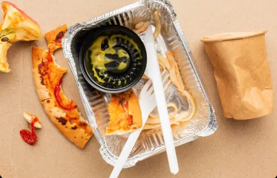 INICIANTE NA SUSTENTABILIDADE