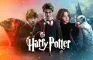 Quem tu és em Harry Potter?