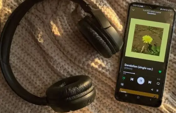 Qual seu estilo de música fav?