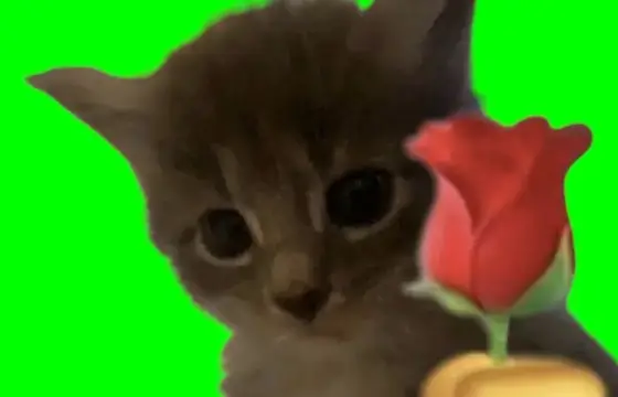 Como é sua personalidade? ( ꈍ꒳ꈍ)