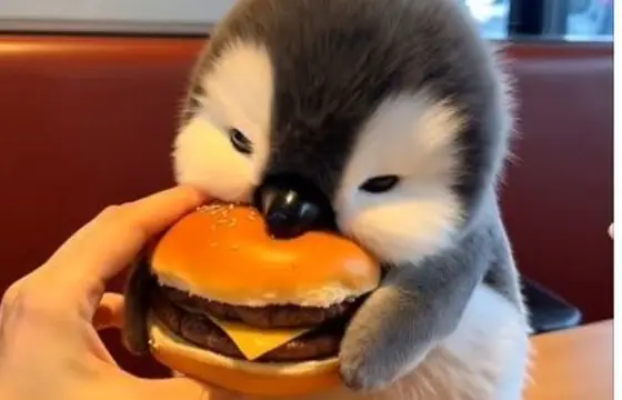 4.Qual a tradução do substantivo "potato"?