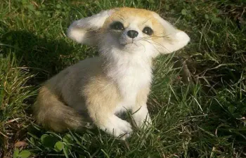 Quanto você sabe sobre substantivos em inglês? 3 tema: comida