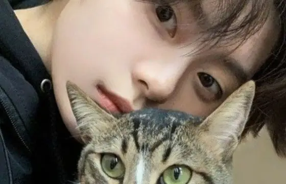 Qual é o nome dos gatos do Lee Know?