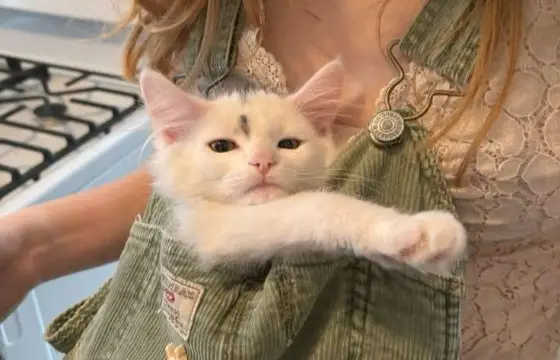 Quando está feliz você: