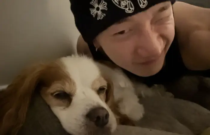 Você sabe tudo sobre o lobão??