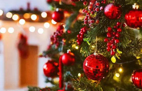 Qual estação é associada ao Natal Europeu?