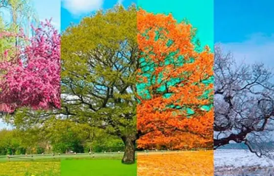 Qual estação o dia é mais curto?