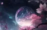 Que lua você acha que é?