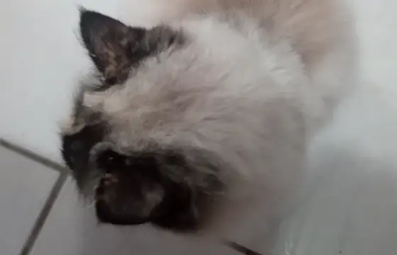Qual você acha que é o nome dela?