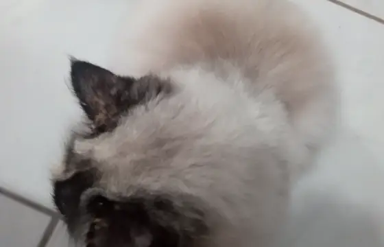 Você acha que ela é mimada?