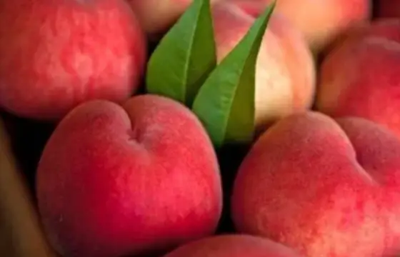 Qual e o nome da fruta ?