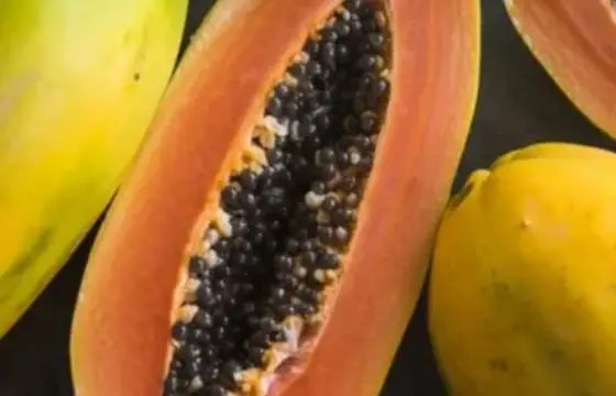 Qual é o nome da fruta ?
